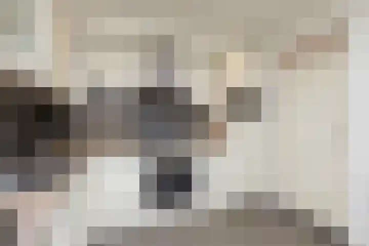 Stêdsfinne 37 Workum thumbnail 11