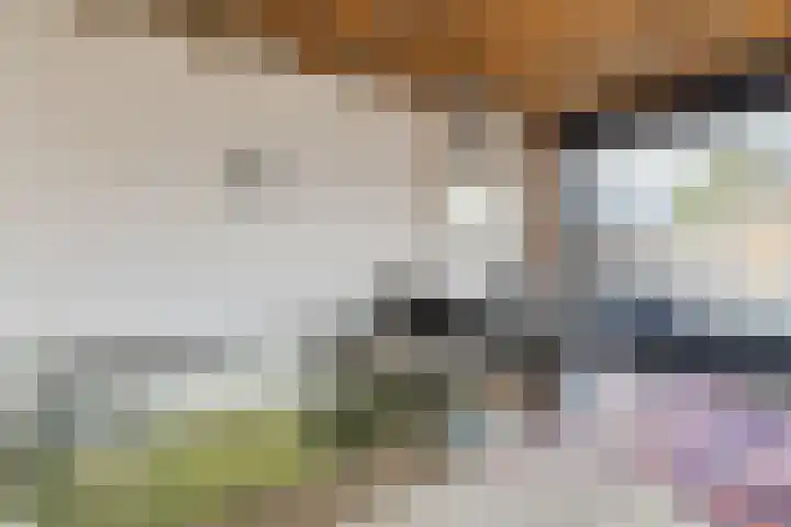 Steeg 17 Arcen thumbnail 48