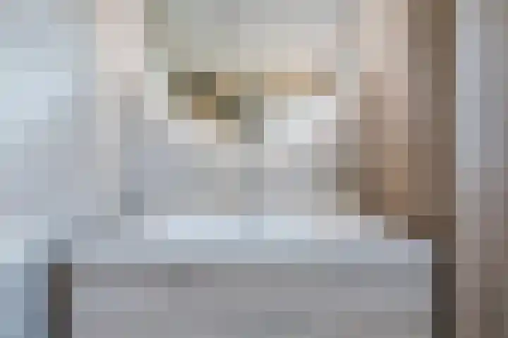 Steeg 21 Arcen thumbnail 26
