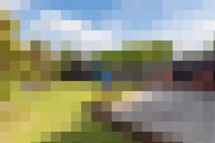 Steeg 21 Arcen thumbnail 29