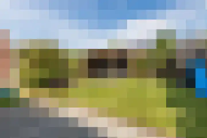 Steeg 21 Arcen thumbnail 31