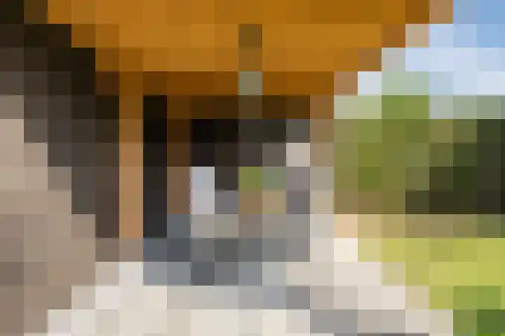Steeg 21 Arcen thumbnail 32