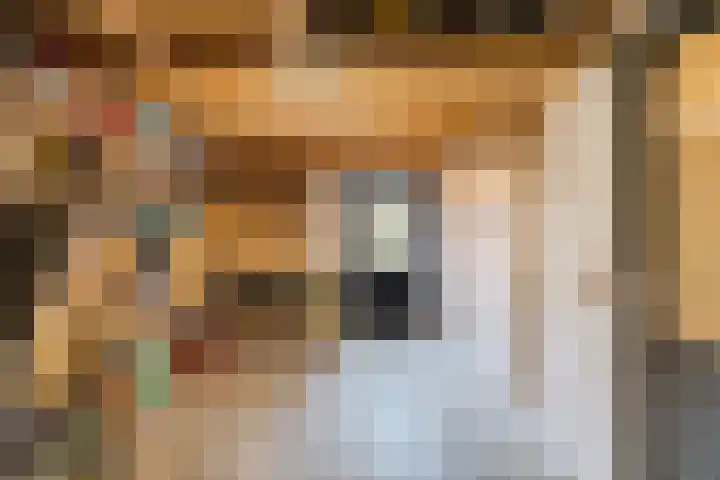 Steeg 21 Arcen thumbnail 36