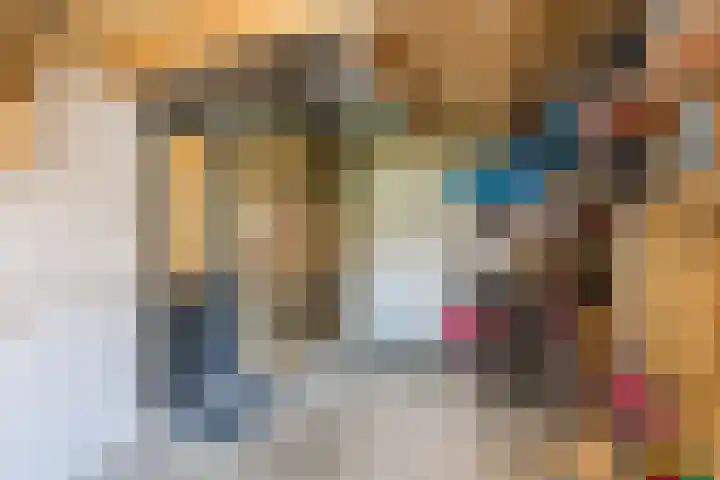 Steeg 21 Arcen thumbnail 37