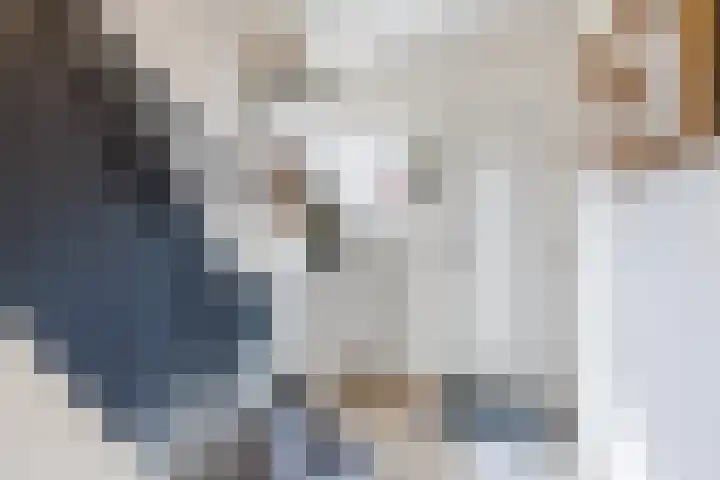 Steeg 21 Arcen thumbnail 4
