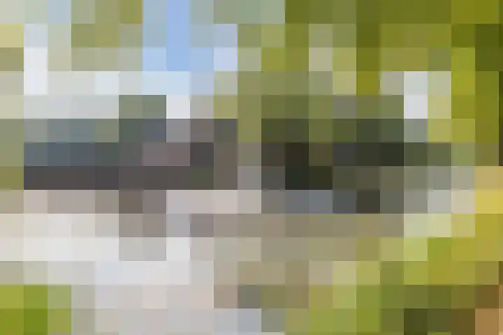 Steeg 21 Arcen thumbnail 42
