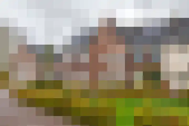 Steegakker 15 Rumpt