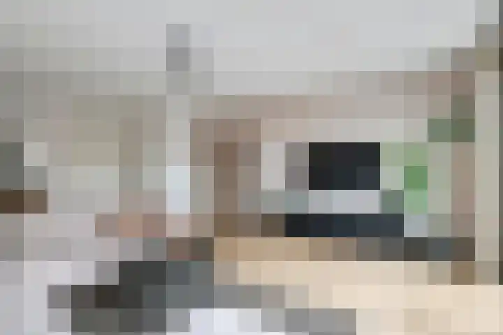 Steegakker 15 Rumpt thumbnail 10