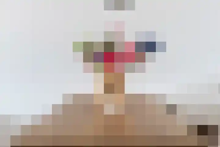 Steegakker 15 Rumpt thumbnail 12
