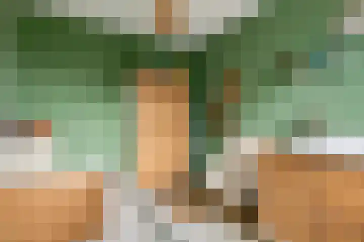 Steegakker 15 Rumpt thumbnail 22