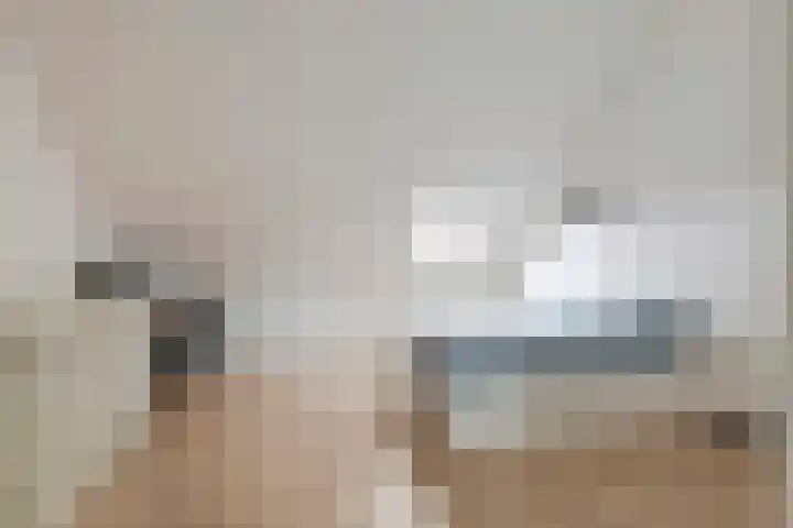 Steegakker 15 Rumpt thumbnail 27