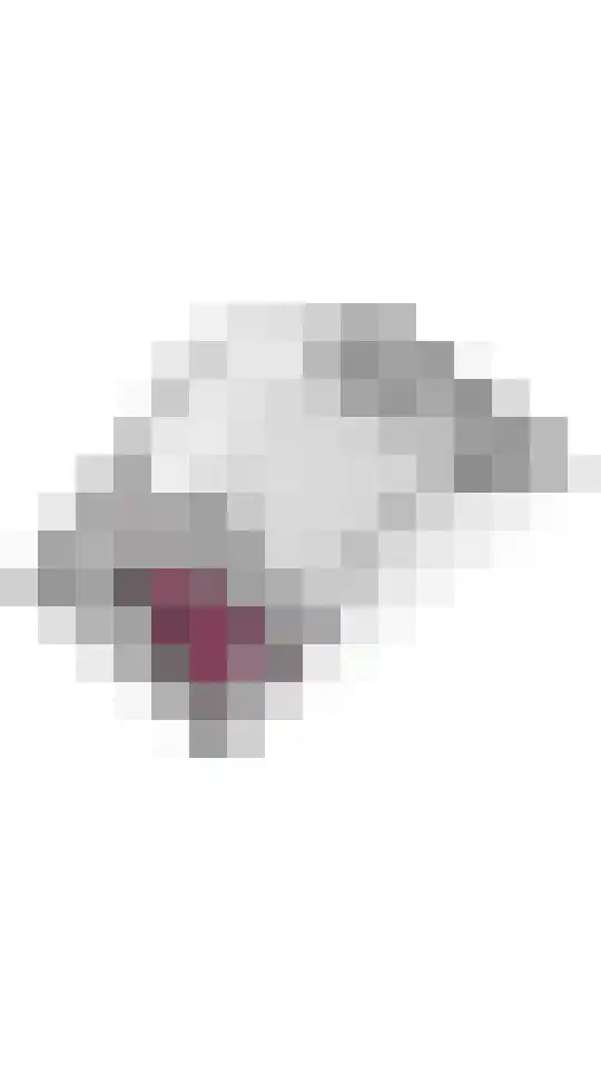 Steegakker 15 Rumpt thumbnail 38