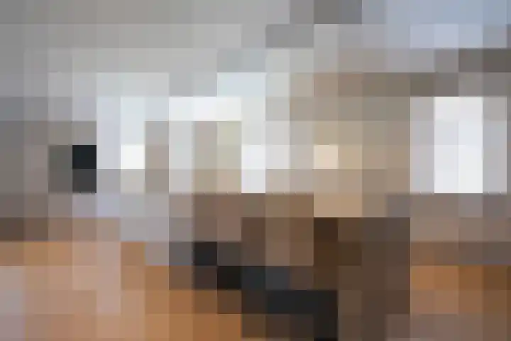 Steegakker 2 Rumpt thumbnail 13