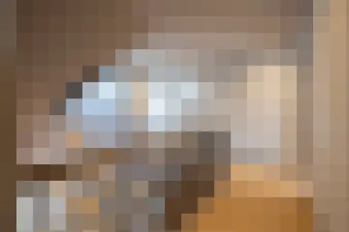 Steegakker 2 Rumpt thumbnail 21