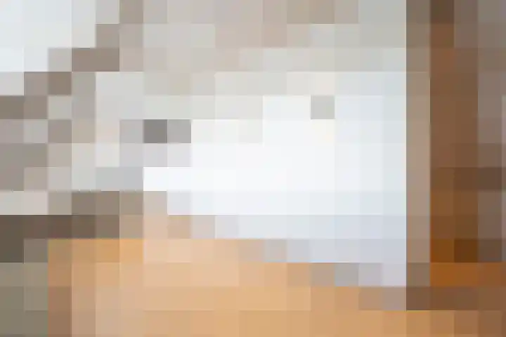 Steegakker 2 Rumpt thumbnail 23