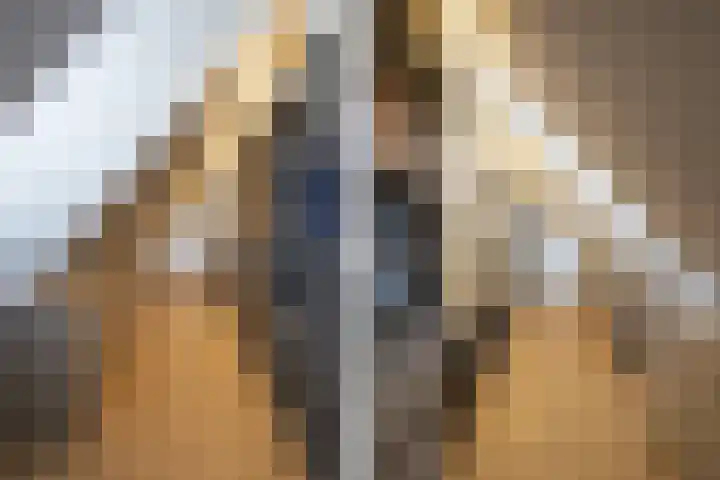 Steegakker 2 Rumpt thumbnail 26