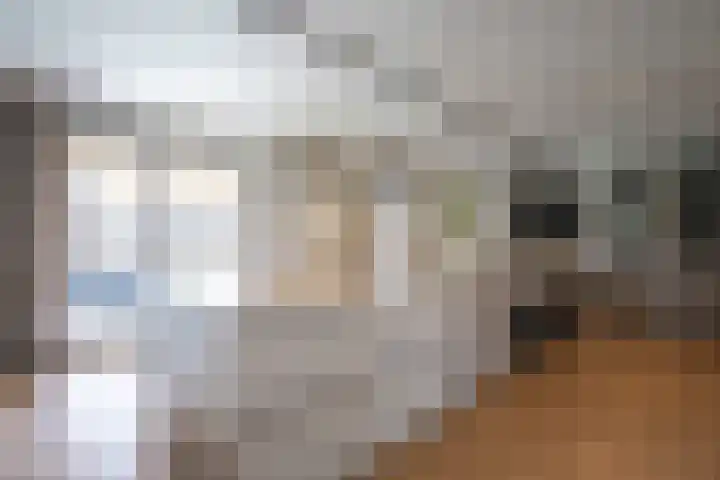 Steegakker 2 Rumpt thumbnail 5