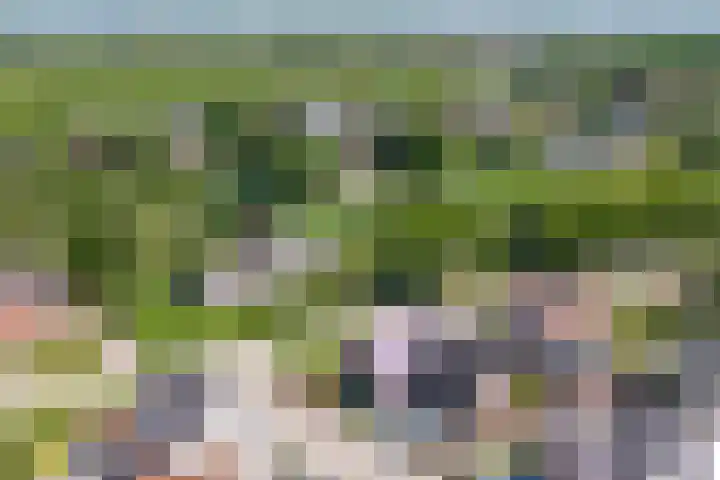 Steegakker 2 Rumpt thumbnail 7
