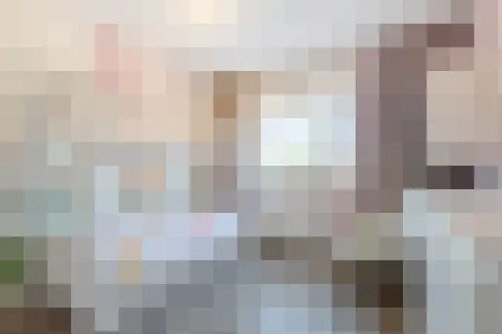 Steek 3 Hardinxveld-Giessendam thumbnail 15