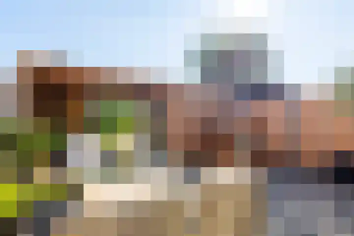 Steek 3 Hardinxveld-Giessendam thumbnail 25