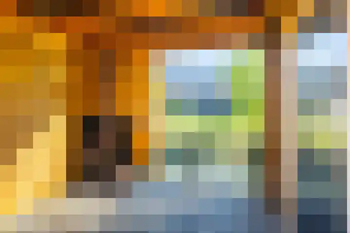 Steek 3 Hardinxveld-Giessendam thumbnail 26