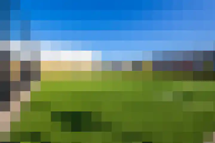 Steek 3 Hardinxveld-Giessendam thumbnail 31