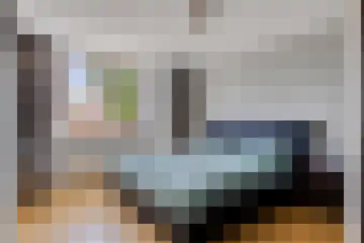 Steeland 20 Westdorpe thumbnail 14