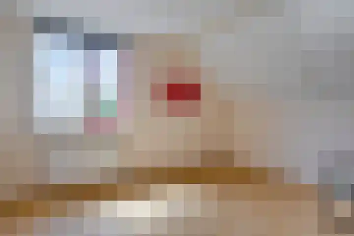 Steeland 20 Westdorpe thumbnail 19