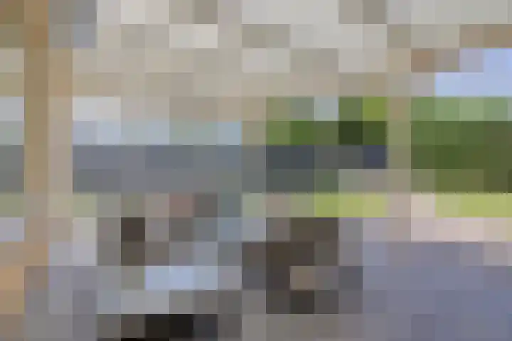 Steeland 20 Westdorpe thumbnail 23