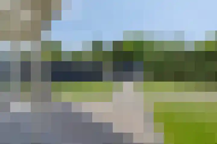Steeland 20 Westdorpe thumbnail 24