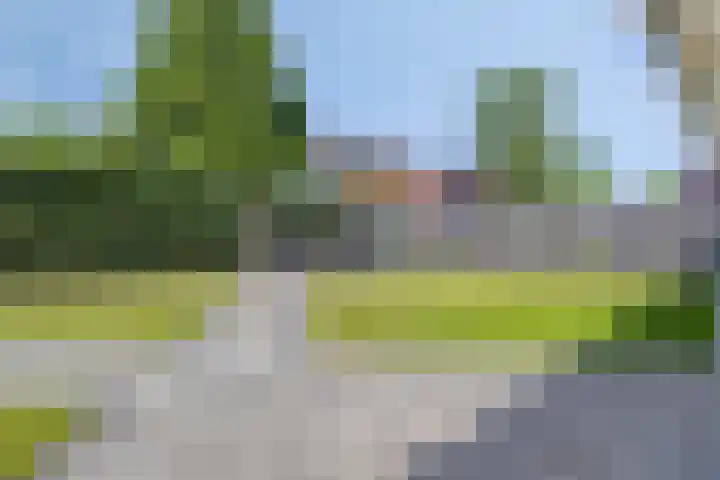Steeland 20 Westdorpe thumbnail 25
