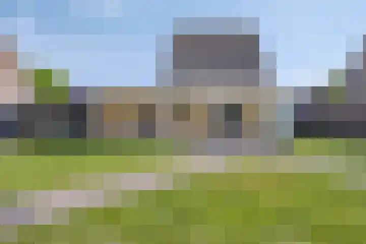 Steeland 20 Westdorpe thumbnail 28