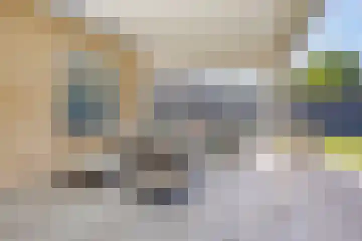 Steeland 20 Westdorpe thumbnail 30