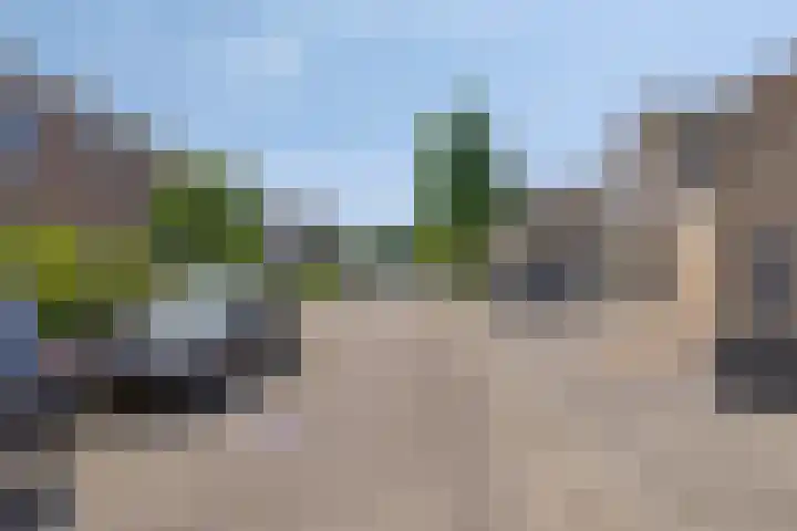 Steeland 20 Westdorpe thumbnail 32