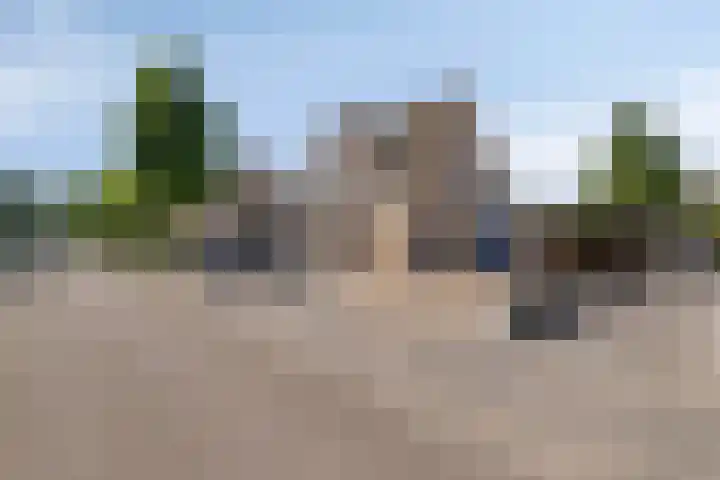 Steeland 20 Westdorpe thumbnail 5