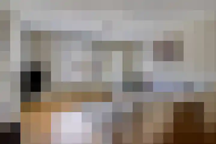 Steeland 20 Westdorpe thumbnail 8