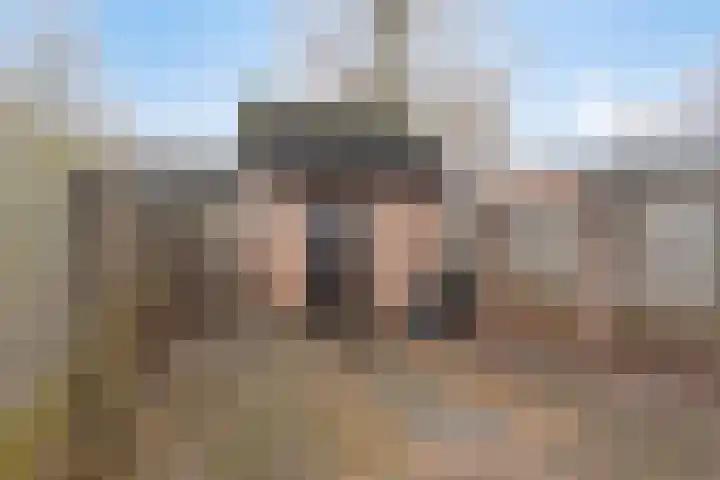 Steenakker 154 Druten thumbnail 30