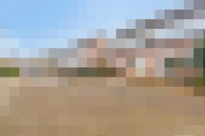 Steenakker 154 Druten thumbnail 31
