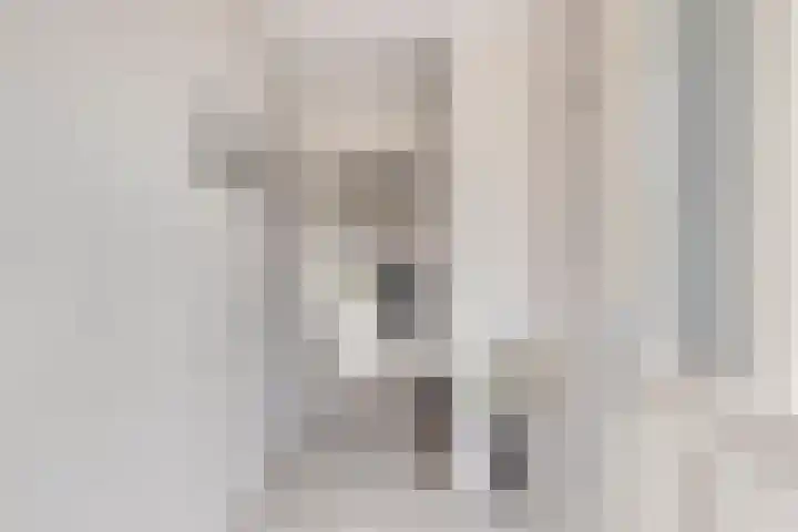 Steenakker 154 Druten thumbnail 6