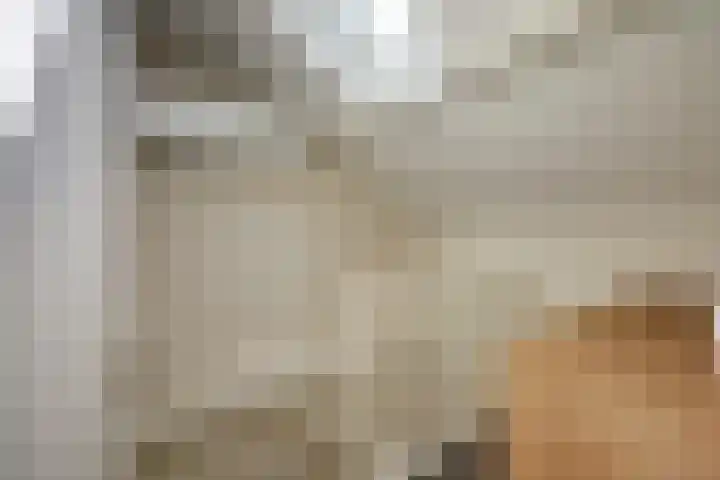 Steenakker 18 Gendt thumbnail 32