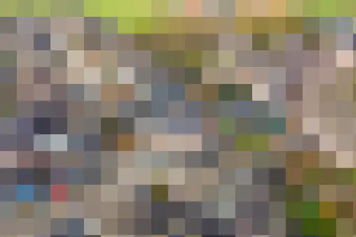 Steenakker 18 Gendt thumbnail 43