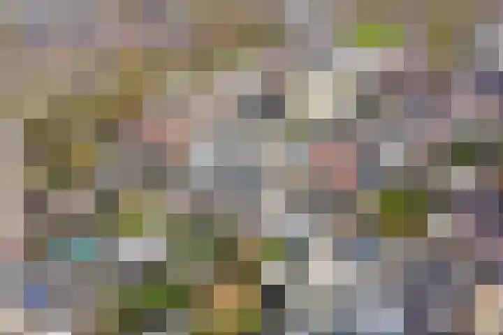 Steenakker 18 Gendt thumbnail 44