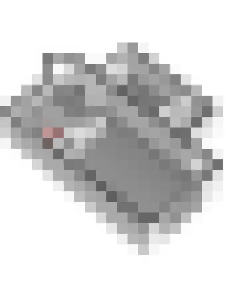 Steenakker 18 Gendt thumbnail 46
