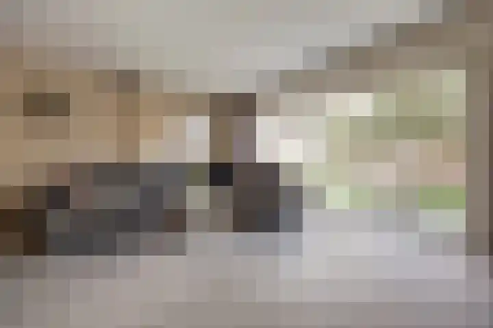 Steenakker 18 Gendt thumbnail 8