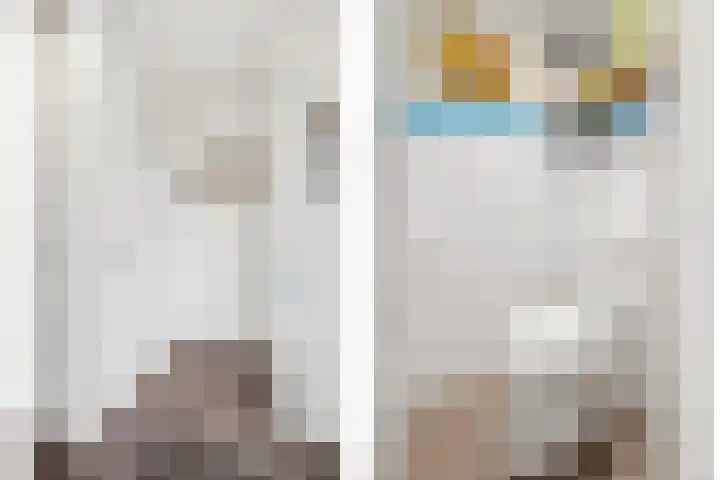 Steenakker 35 Druten thumbnail 16