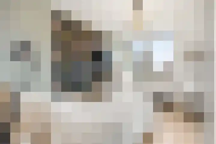 Steenakker 35 Druten thumbnail 24