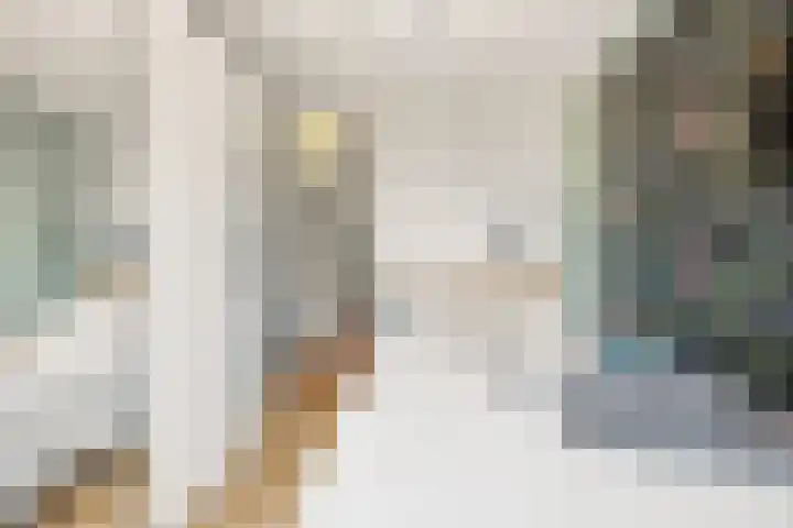 Steenakker 35 Druten thumbnail 25
