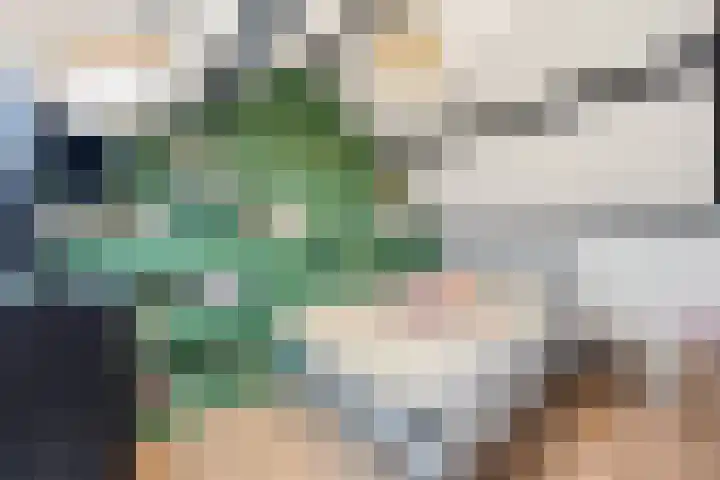 Steenakker 35 Druten thumbnail 29