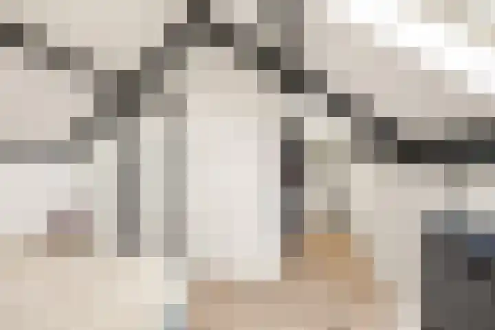 Steenakker 35 Druten thumbnail 30