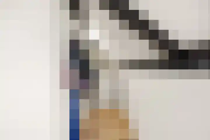 Steenakker 35 Druten thumbnail 31